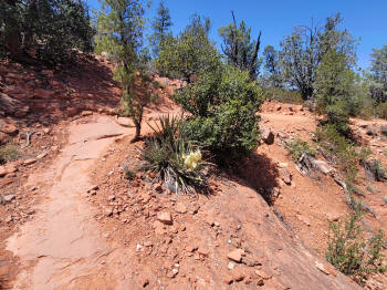 Hog Wash Trail 9
