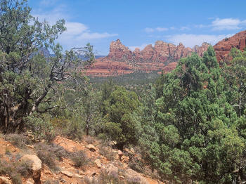Hog Wash Trail 11