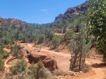 Hog Wash Trail 12