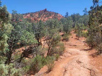 Hog Wash Trail 13