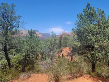 Hog Wash Trail 14