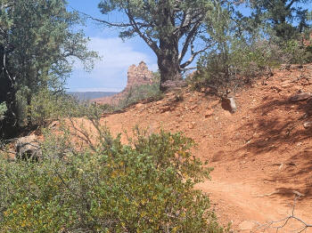 Hog Wash Trail 15
