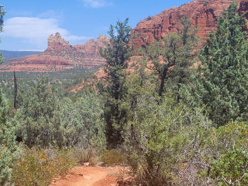 Hog Wash Trail 16