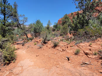 Hog Wash Trail 20