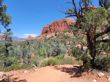 Hog Wash- Hiking North (Clockwise on the Hog Heaven Loop) 22