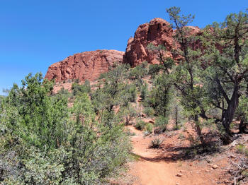 Hog Wash- Hiking North (Clockwise on the Hog Heaven Loop) 23
