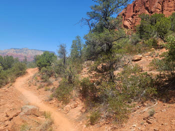 Hog Wash- Hiking North (Clockwise on the Hog Heaven Loop) 24