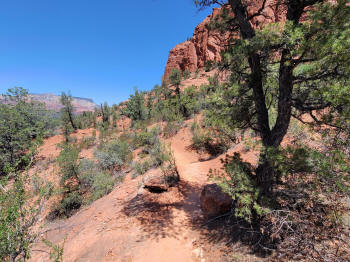 Hog Wash- Hiking North (Clockwise on the Hog Heaven Loop) 25