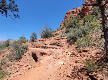 Hog Wash- Hiking North (Clockwise on the Hog Heaven Loop) 26