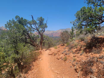 Hog Wash- Hiking North (Clockwise on the Hog Heaven Loop) 22