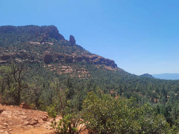 Hog Wash- Hiking North (Clockwise on the Hog Heaven Loop) 28