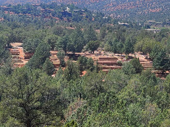 Hog Wash- Hiking North (Clockwise on the Hog Heaven Loop) 29