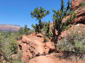 Hog Wash- Hiking North (Clockwise on the Hog Heaven Loop) 30
