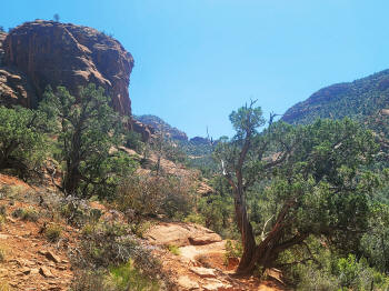 Hog Wash- Hiking North (Clockwise on the Hog Heaven Loop) 33