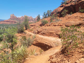 Hog Wash- Hiking North (Clockwise on the Hog Heaven Loop) 35