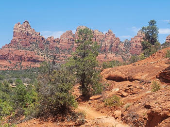 Hog Wash- Hiking North (Clockwise on the Hog Heaven Loop) 36