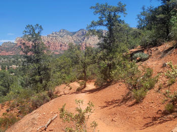 Hog Wash- Hiking North (Clockwise on the Hog Heaven Loop) 40