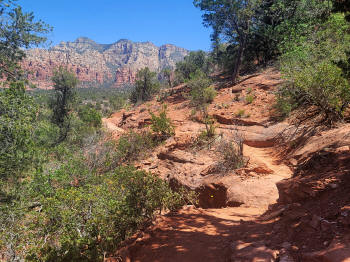 Hog Wash- Hiking North (Clockwise on the Hog Heaven Loop) 41