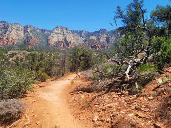 Hog Wash- Hiking North (Clockwise on the Hog Heaven Loop) 42