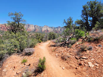 Hog Wash- Hiking North (Clockwise on the Hog Heaven Loop) 43
