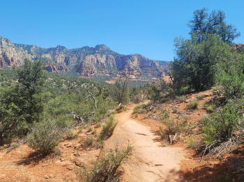 Hog Wash- Hiking North (Clockwise on the Hog Heaven Loop) 44
