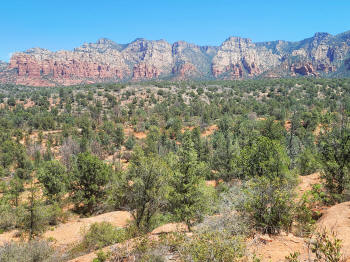 Hog Wash- Hiking North (Clockwise on the Hog Heaven Loop) 45