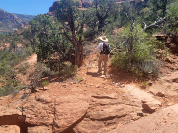 Hog Wash- Hiking North (Clockwise on the Hog Heaven Loop) 46