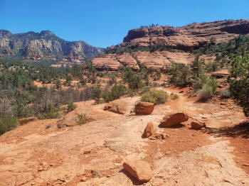 Hog Wash- Hiking North (Clockwise on the Hog Heaven Loop) 47