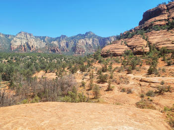 Hog Wash- Hiking North (Clockwise on the Hog Heaven Loop) 49