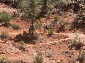 Hog Wash- Hiking North (Clockwise on the Hog Heaven Loop) 51