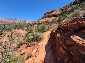 Hog Wash- Hiking North (Clockwise on the Hog Heaven Loop) 52