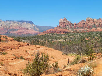 Hog Wash- Hiking North (Clockwise on the Hog Heaven Loop) 54