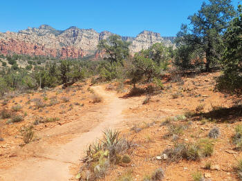 Hog Wash- Hiking North (Clockwise on the Hog Heaven Loop) 55