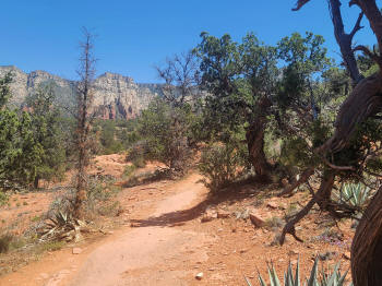 Hog Wash- Hiking North (Clockwise on the Hog Heaven Loop) 56