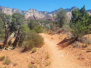 Hog Wash- Hiking North (Clockwise on the Hog Heaven Loop) 58