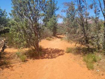 Final Leg Broken Arrow Trail - Hiking West To Parking Lot 3