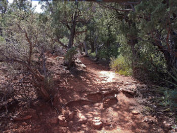Hign on the Hog Trail -- Picture 3