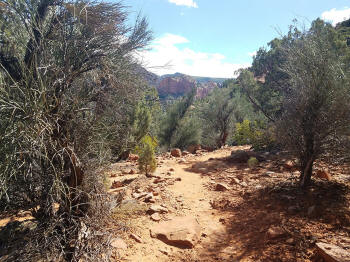 Hign on the Hog Trail -- Picture 5