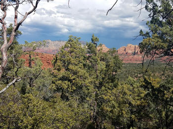 Hign on the Hog Trail -- Picture 8