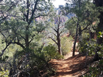 Hign on the Hog Trail -- Picture 12
