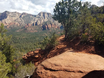 Hign on the Hog Trail -- Picture 13