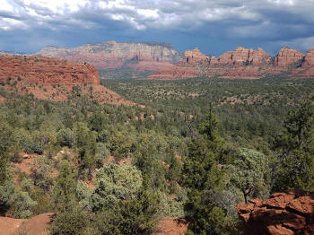 Hign on the Hog Trail -- Picture 14
