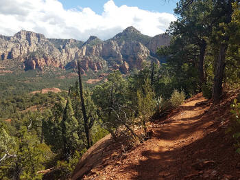 Hign on the Hog Trail -- Picture 15