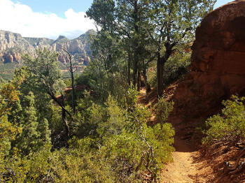 Hign on the Hog Trail -- Picture 16