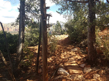 Hign on the Hog Trail -- Picture 17