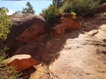 Hign on the Hog Trail -- Picture 18
