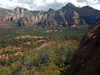Hign on the Hog Trail -- Picture 19