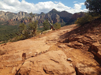 Hign on the Hog Trail -- Picture 21