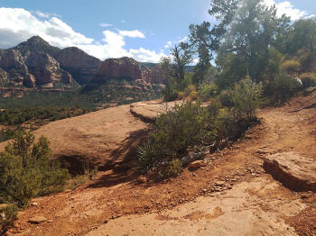 Hign on the Hog Trail -- Picture 22