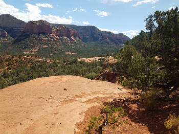Hign on the Hog Trail -- Picture 23